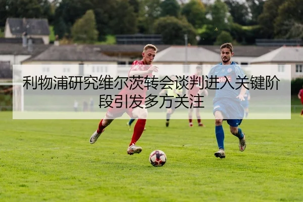 img_1783108903435_1909_1_465.jpg